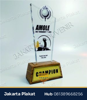 Plakat Golf Champion