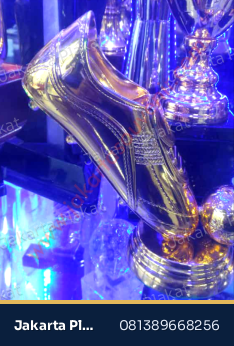 Trophy Fiber Sepatu Bola