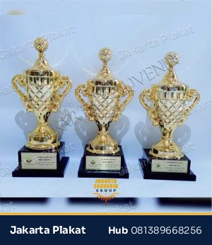 Trophy Fiber Cup Standard