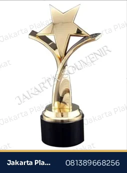 Trophy Bintang Standard