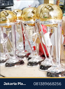 Trophy Champion Football